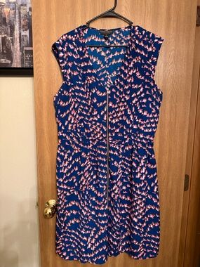 Forever 21 Navy & Pink Sundreas